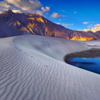 Leh ladakh honeymoon tour packages with nubra pangong diskt tour